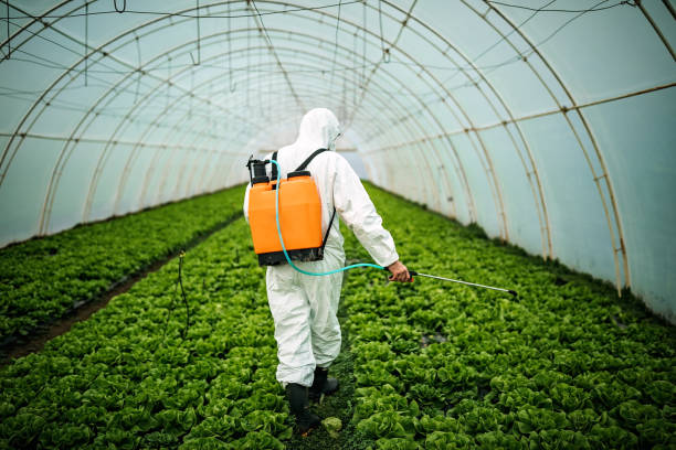 Best Mosquito Control Services  in Lisbon, OH