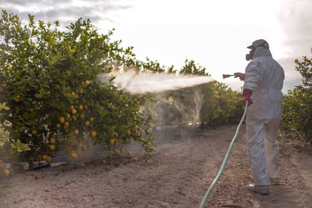 Best Exterminator Services  in Lisbon, OH