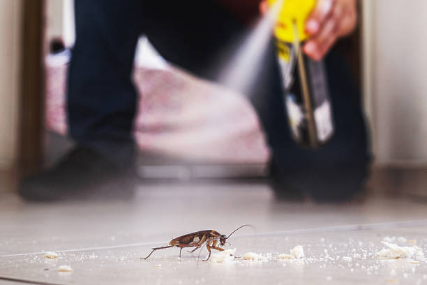 Best Best Pest Control Companies  in Lisbon, OH