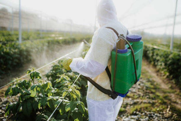 Best Affordable Pest Control Services  in Lisbon, OH